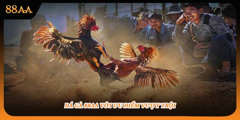 Đá gà 88aa với ưu điểm vượt trội
